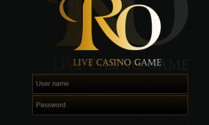 RO 사이트내부가 너무 지저분하고 쓸데없는거도 너무많네요 ro-ttacom