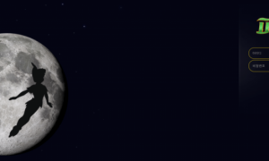 피터팬 이 사이트는 버린 사이트 인가요ㄷㄷ 9981-ptcom