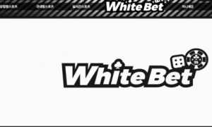 화이트벳  검증사이트에 한번 물어보고 써야할거같음 wbwb7com