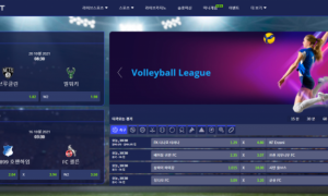 스포츠가 너무하고 싶어서 인터넷 찾다가 알파벳 가입했습니다 alphabet21com