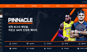 피나클 환전조금 느린거 뺴고는 잘쓰고 있네요 pinnacle119com